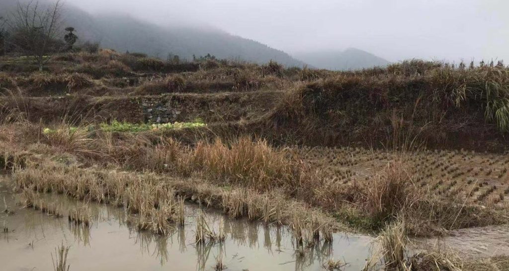 rural china