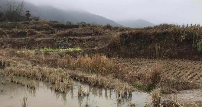 rural china