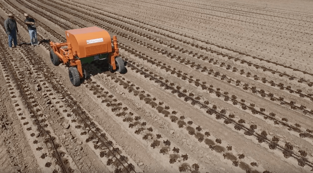FarmWise robot in field