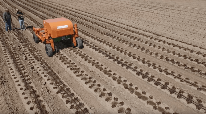 FarmWise robot in field