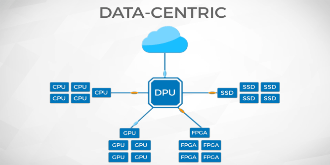 Fungible data processing units