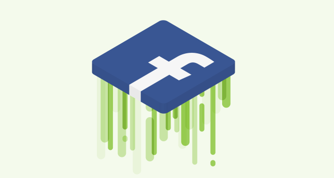Facebook Bug
