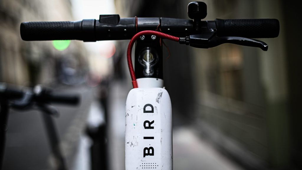 Bird scooter