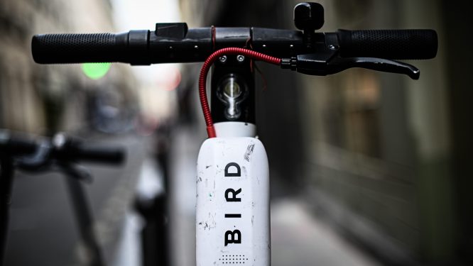 Bird scooter