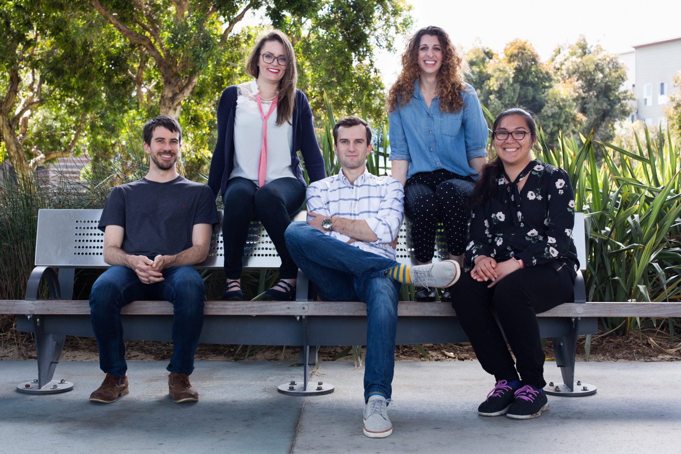 Basis Team