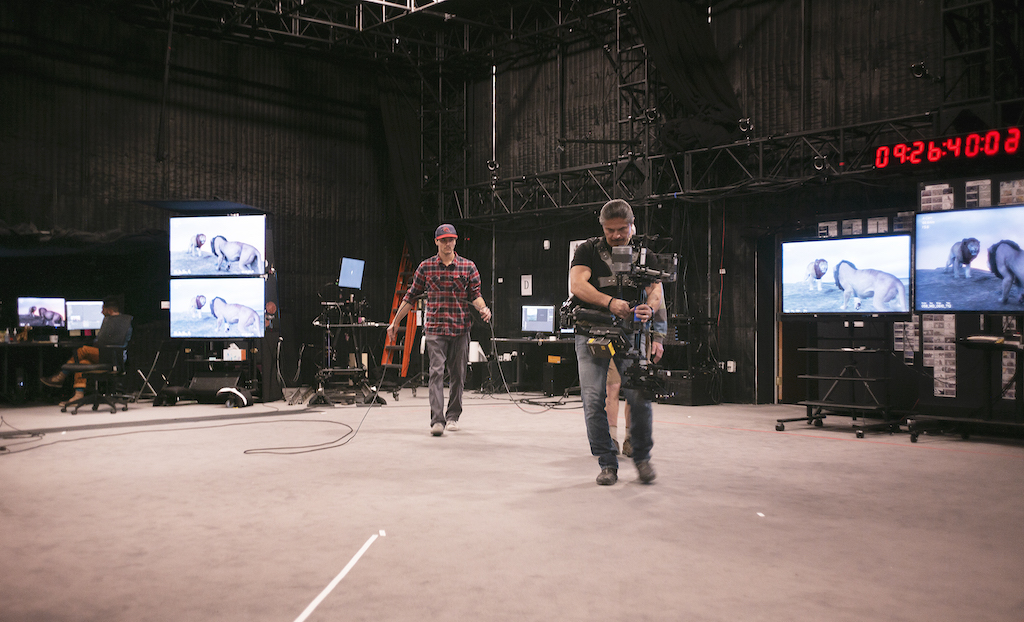 TLK SteadyCam Wide InAction L1002582