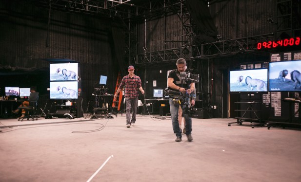 TLK SteadyCam Wide InAction L1002582