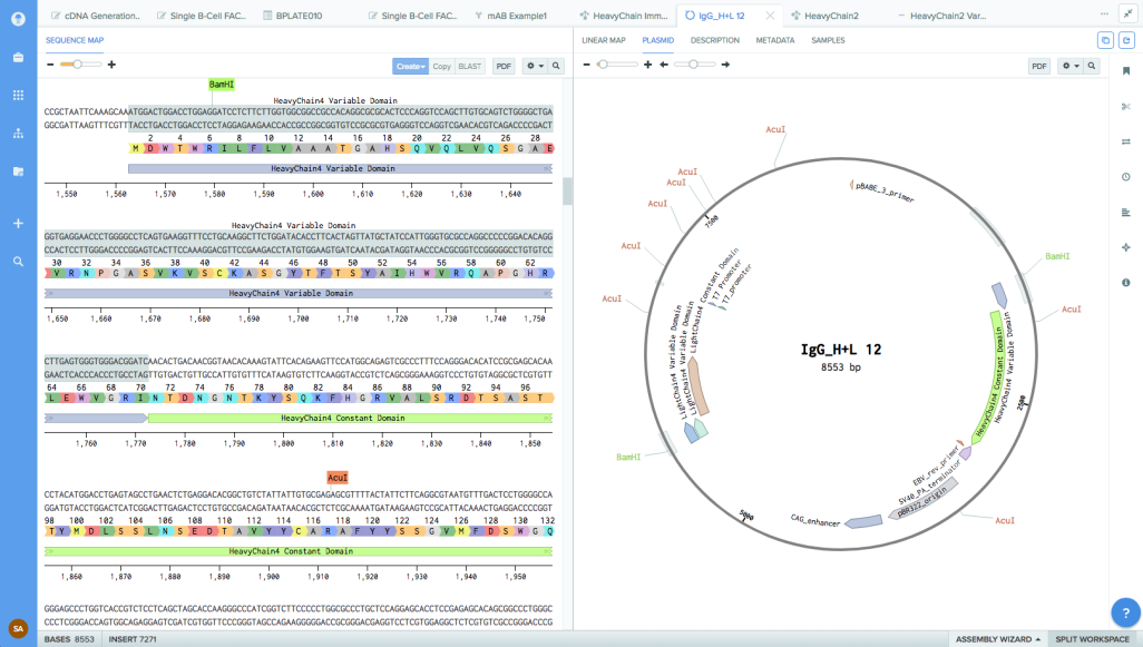 benchling screenshot Mol Bio