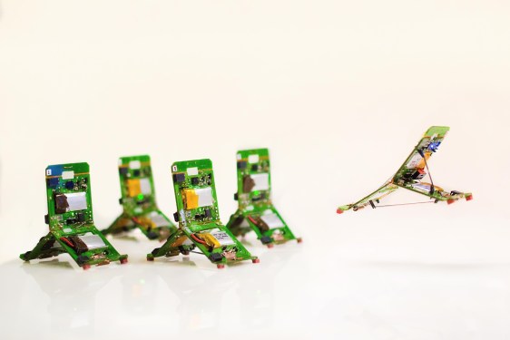 tribot