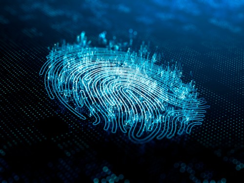 A computer identify and measuring the fingerprint on the digital surface.