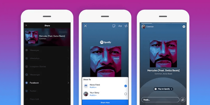 Spotify FacebookStories Alternate 800x400