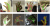 handtracking shot