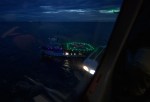 spacex dragon crew emergency evacuation rehearsal nhq201908150009 48558950976 o
