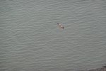 DSC03463