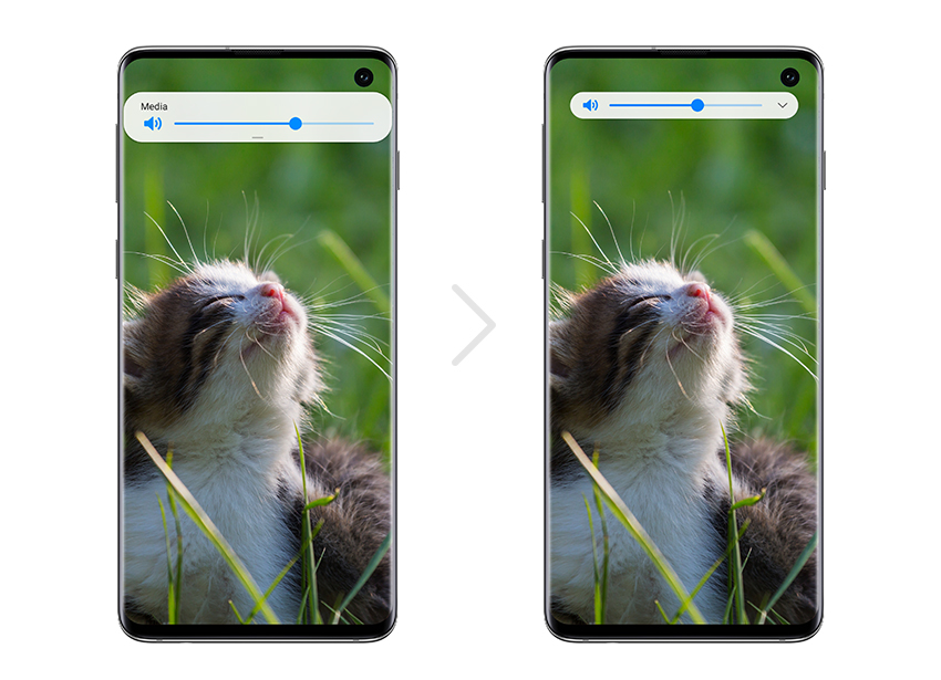 Samsung One UI Beta Program Cat S10 full screen