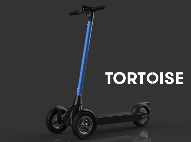Tortoise on a YIMI A80 scooter rectangle