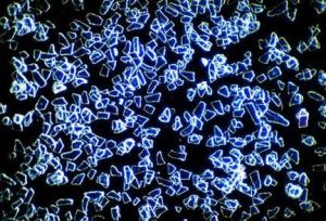 A high magnification of TruTag particles, each of is an edible “chip” that authenticates the product it is applied to.