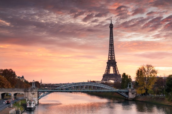 paris skuline