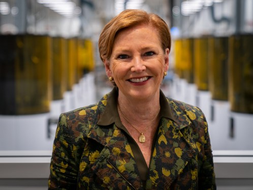 Ellen Kullman Carbon