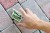 found a dollar