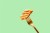 Daring Foods