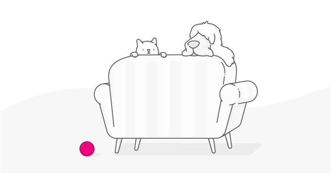 Lemonade Pet