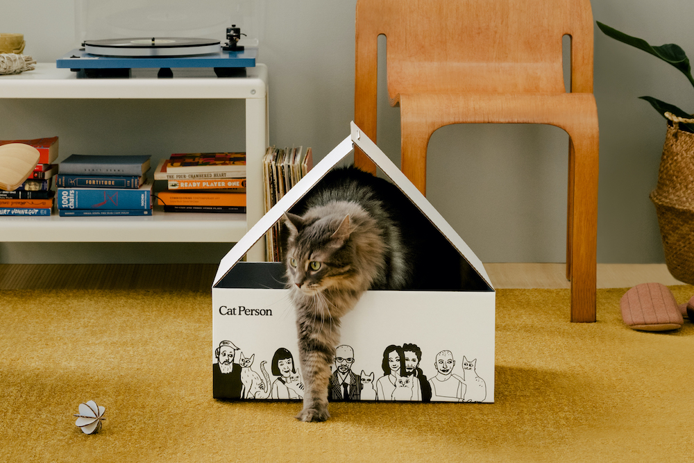 Cat Person