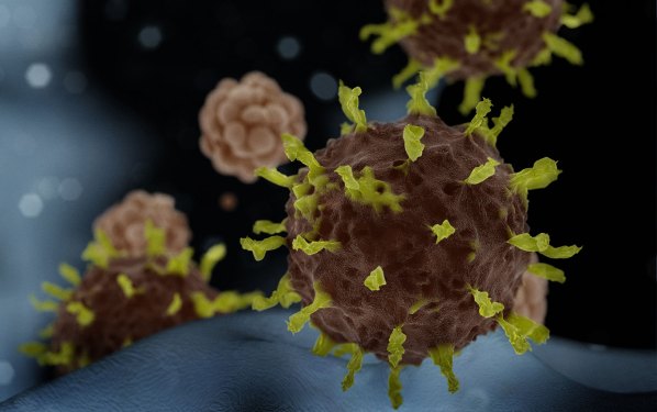 coronavirus