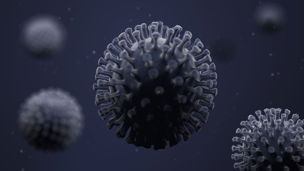 coronavirus