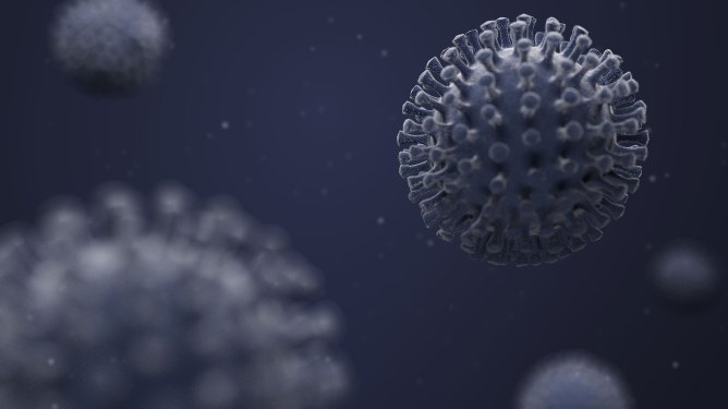 coronavirus