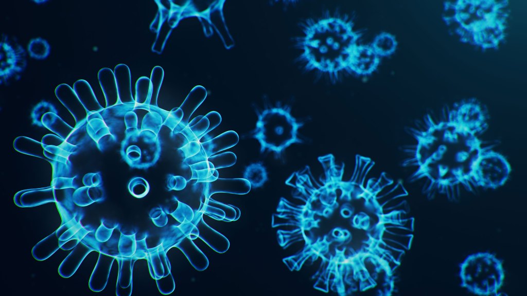 coronavirus