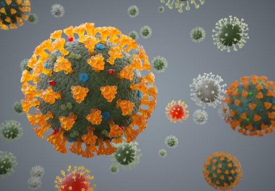 Coronavirus structure