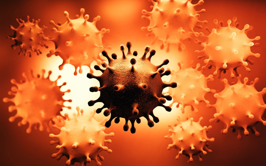 Coronavirus structure