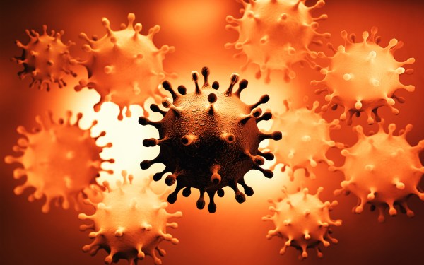 Coronavirus structure