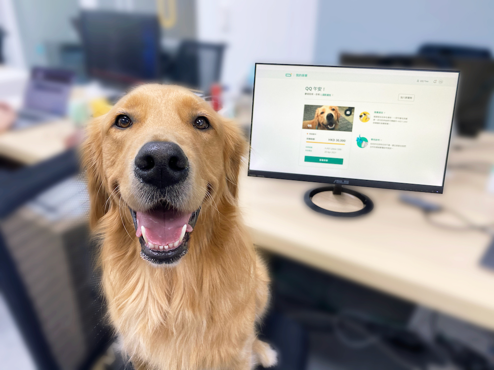 OneDegree's first insured pet, QQ