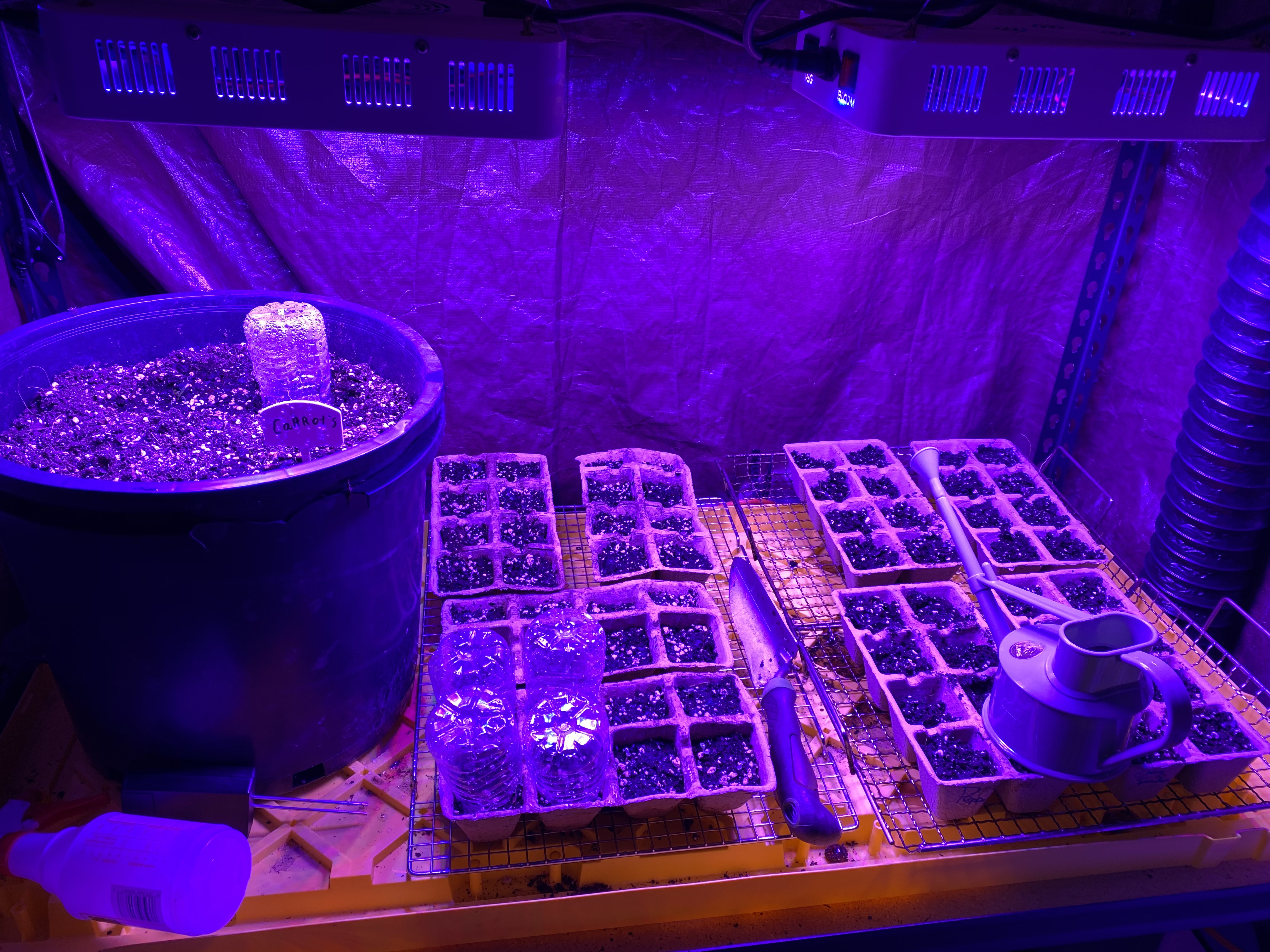 Growing things