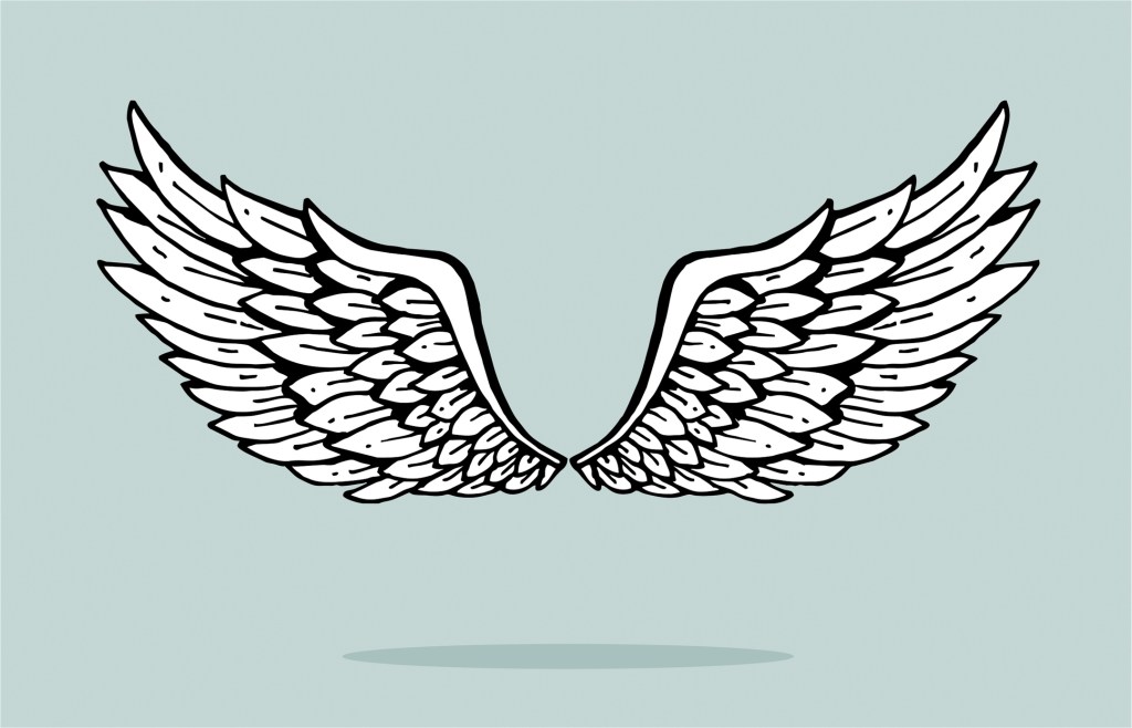 angel wings