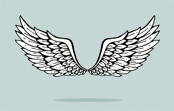 angel wings