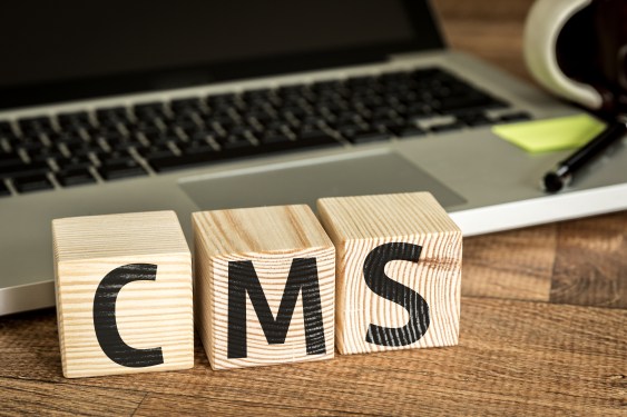 wooden blocks spell out C-M-S.