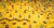 orbs floating abovr yellow board