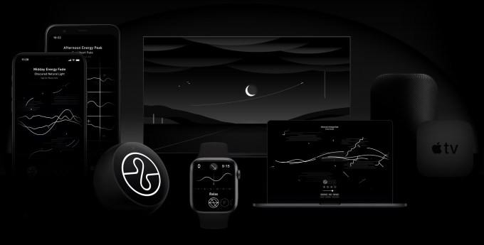 Endel ecosystem
