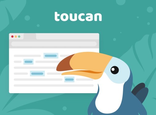Toucan