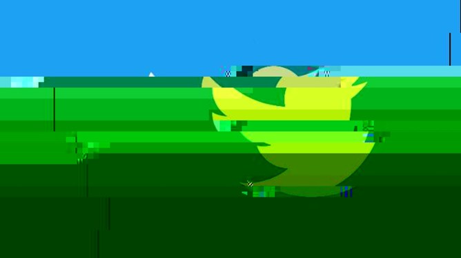 twitter glitch