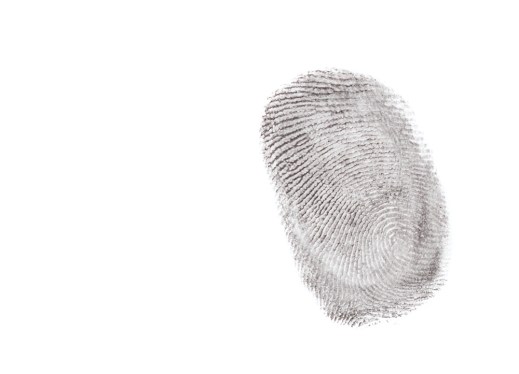 Fingerptint isolated on white background