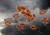 Life Rings flying out beneath storm clouds are a metaphor for rescue, help and aid.