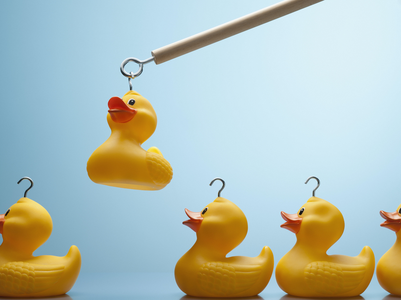 Pole lifting rubber duck with hook in its head