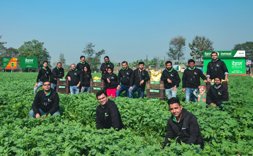 DeHaat team posed in green crops in farm field