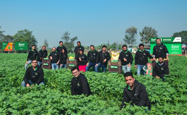 DeHaat team posed in green crops in farm field