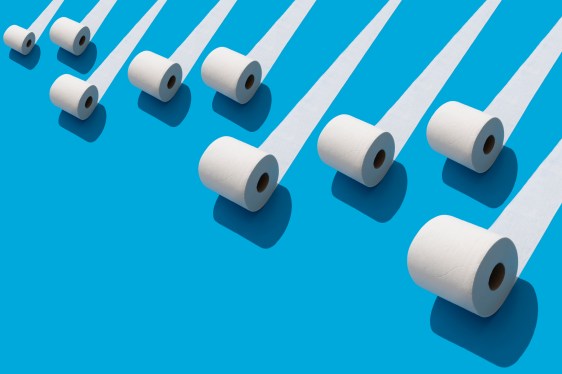 Elevated view of many toilet rolls on blue background