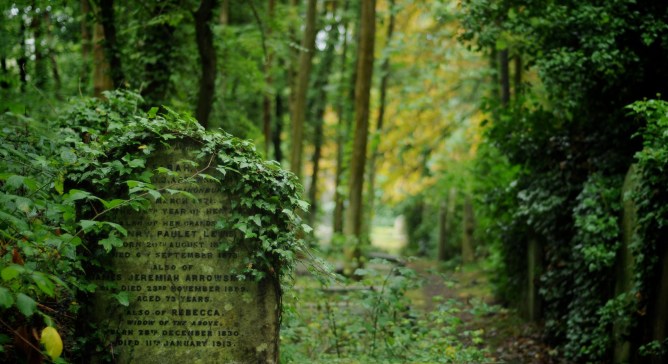 Highgate Cemetery, headstone among the trees